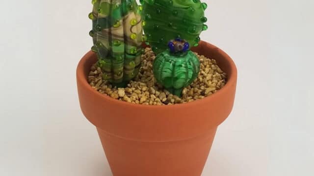 Glass Cacti & Succulents