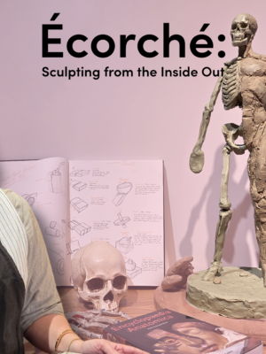 Écorché Sculpting from the Inside Out