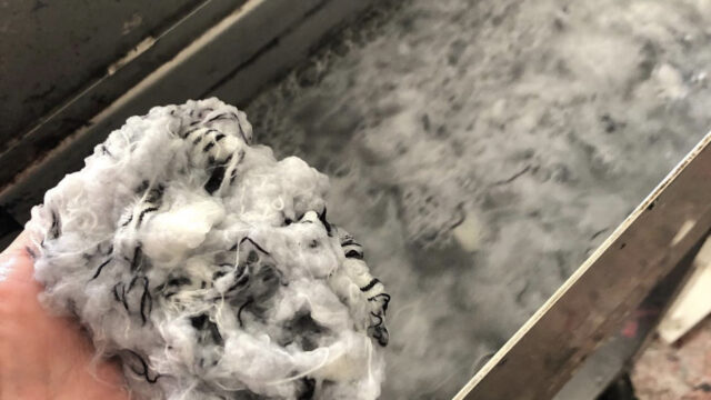 Exploring-Papermaking