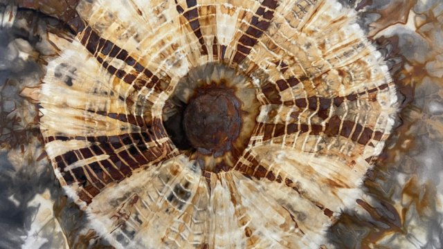 Indigo, Rust and Stitch